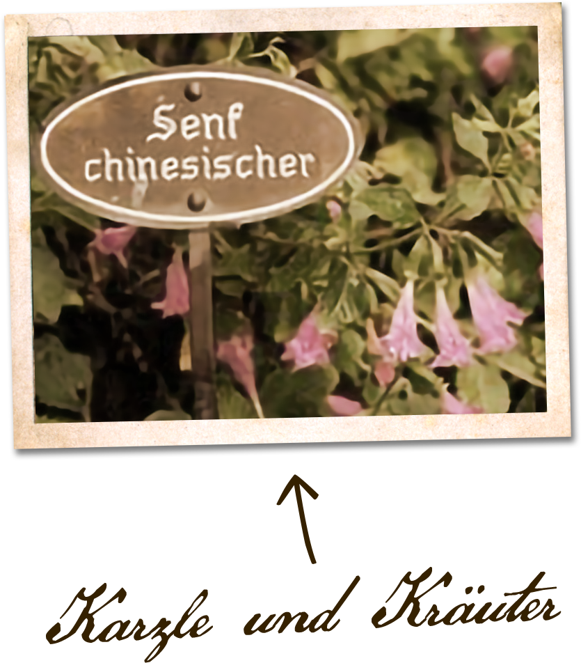 karzle und kreauter